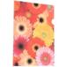  etranger *ti* Costa Rica [2 пункт суммировать ] прозрачный держатель A4 FIORE-32-06 гербера ассортимент 
