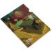  etranger *ti* Costa Rica [2 пункт суммировать ] прозрачный держатель A4 PDM-32-62go ho 4