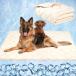 [ параллель импортные товары ] Dog House Indoor, Cozy Dog Cave Bed with Door Curtain, Cushion M