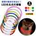  necklace shines dog LED light stylish LED necklace small size dog medium sized dog large dog light weight light rechargeable Rainbow 