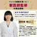 ���ʖi���h�~��� ���ʖi���O�b�Y ���� ��� ������� ���^�� ���^�� ��^�� �y�b�g �A���[�g �����p�i �r�[�v�� �^ �i����h�~ �֘A�摜3