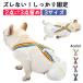  dog for diaper cover male for female for suspenders gap prevention 3 point stop dog for Homme tsu clothes stylish lovely small size dog medium sized dog large dog toy Repetto sheet 