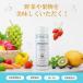 ��ؐ� �ʕ��� ��� �ق��ĊL�k�p�E�_�[ SHELLISTA (�V�F���X�^) �Q�{�Z�b�g �z�^�e�L�k 100g ���Y�� �_�򏜋� �M���r �L�b�`���p���ۍ� �֘A�摜5