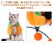 �n���E�B�� �� �� �L �ߑ� �R�X�v�� �R�X�`���[�� ���� �P�[�v ���ڂ��� ������ �L�� �q�� �y�b�g�� �h�b�O�E�F�A ������� ���^�� �~ �ϐg ���� ins �ϑ� �֘A�摜4