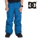  Япония стандартный товар одежда для сноуборда брюки ti-si-DC BANSHEE YOUTH PANT BQP0 Youth Kids ребенок 24-25