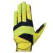  Mizuno MPshubiL limited 24SS бейсбол бейсбол перчатка 1EJED07437
