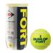 ( Dunlop )FORT2P-NEW ракетка спорт теннис мяч FORT2P-NEW