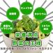 �u���b�R���[ �Ⓚ �Ɩ��p 2kg(500g�~4��) �G�N�A�h��/�C���h�Y �Ⓚ��� ��e�� ���� �֘A�摜4