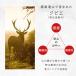 ���� �W���[�L�[ 100g �A�j�}���V�F���� �{�茧 �����Y ���Y�� �W�r�G ���� �W���[�L�[ ��e�� ����� �� ������� �y�b�g����� ���p ���^�� ��^�� ���� �֘A�摜2