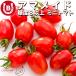  mini tomatoes 1kg through year sugar times 8 and more amameido domestic production tomato height sugar times domestic production mini tomatoes high capacity inside festival . Bon Festival gift present gift kino under farm Osaka 