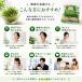 ���Y �u���b�R���[�X�v���E�g 40g (5��) �@�\���\���H�i �X���t�H���t�@�� �T���_ �g�b�s���O �V�� �ȒP �֘A�摜5