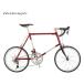ߥ˥٥ 2019 Raleigh(졼) RSC RSW Carlton