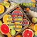 ���L �T�v�� �T�v�������g �f�I�A�^�b�N �V�g���X ��1������ �V�����s�j�I�� ���� �֘A�摜5
