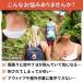 ���悯�l�b�g�t���X�q ������ ���悯 �h���l�b�g �_��� �T�t�@���n�b�g �K�[�f�j���O  ���|  �ނ� �A�E�g�h�A �֘A�摜1