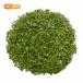 �����p�Z���i�C�^���A���p�Z���j 50�� �y���[���֐�p�i�z�y���������z Parsley Flakes �_��_�ƂŊǗ� �C�^���A�Y100%�g�p �����I��  [05] NICHIGA(�j�`�K) �֘A�摜2