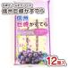  Shinshu ......(12 пакет входить ) сладости массовая закупка коробка покупка половина сырой дагаси подарок ребенок закуска большой . кондитерские изделия 