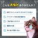 �G���U�x�X�J���[ �L�p �\�t�g �R�[�M�[ �z �h�[�i�c ��^�� ���^�� ���^�� �y�b�g�p�i �p�� ���L���p ������� �T�[�N�� �Č� �A�j�}���l�b�J�[ �T�C�Y �֘A�摜1