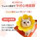 �G���U�x�X�J���[ �L�p �\�t�g �R�[�M�[ �z �h�[�i�c ��^�� ���^�� ���^�� �y�b�g�p�i �p�� ���L���p ������� �T�[�N�� �Č� �A�j�}���l�b�J�[ �T�C�Y �֘A�摜3