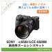 [ в оба конца бесплатная доставка ]α6600 ILCE-6600M высота коэффициент увеличения zoom линзы комплект SONY беззеркальный однообъективный зеркальный камера 1 день ~ в аренду бесплатная доставка 