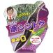 [4 месяц средний . после отправка предположительно ] фиолетовый * большой . длина перец шишито комплект 2 pot комплект овощи рассада необычный зеленый перец шишито 