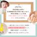 �ȉ~�^�����P�[�Xlight �f�U�C���ǉ� ���{�� �V�R�� �����̕ۊǂɍœK�ȗD�����P�[�X �I�ׂ�f�U�C�� ���~ ������ �I�[�o�� �������� �֘A�摜2