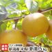  новый высота 5kg(6~10 шар )/yamayo фруктовое дерево .(Le Verge Yamayo)/ бесплатная доставка 