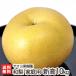 [ для бытового использования ] новый высота 10kg(12~20 шар ) /yamayo фруктовое дерево .(Le Verge Yamayo)/ бесплатная доставка 