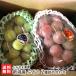  Niigata производство виноград 2 вид набор ( автомобиль in мускат * Queen колено na каждый 1.)/.... сельское хозяйство ./ бесплатная доставка 