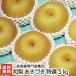  Niigata производство Япония груша специальный отбор ....5kg(7~12 шар ) три статья фруктовое дерево специализация дом сборник ./ подарок тоже!/. . бесплатный / бесплатная доставка 