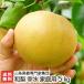  Niigata производство Япония груша для бытового использования . вода 5kg(10~14 шар ) три статья фруктовое дерево специализация дом сборник ./ бесплатная доставка 