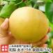  Niigata производство Япония груша для бытового использования ....5kg(7~12 шар ) три статья фруктовое дерево специализация дом сборник ./ бесплатная доставка 
