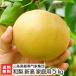  Niigata производство Япония груша для бытового использования новый высота 5kg(6~8 шар ) три статья фруктовое дерево специализация дом сборник ./ бесплатная доставка 