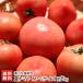  лето помидор M~L размер примерно 2kg(9~12 шар )/. река производство комплект ./ бесплатная доставка 