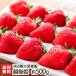 . после .1 упаковка (12 шарик ~15 шарик *1 упаковка примерно 450g) Ikeda туристический фруктовое дерево ./ Niigata производство бренд ./ маленький подарок тоже */ бесплатная доставка 