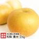 Niigata производство Япония груша . вода 3kg(5~10 шар ) Ikeda туристический фруктовое дерево ./ бесплатная доставка 