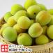  Niigata префектура производство сырой слива 2kg. река ферма / бесплатная доставка 