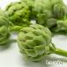  Niigata префектура производство артишок L размер 2kg(6~8 шт )/ ферма . удача / бесплатная доставка 