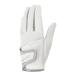 �e�[���[���C�h TaylorMade T-ICE 4.0 �����Y�O���[�u (����p) TL934 2026 �֘A�摜3