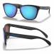 �I�[�N���[ Oakley �T���O���X Frogskins �iLow Bridge Fit�j OO9245-6154 2024