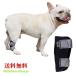  dog supporter after for foot Schott small size dog medium sized dog large dog .. supporter .. protector knees supporter .. protection . dog nursing nursing articles sinia elbow present . floor gap 