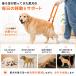 ���p ���s�⏕�n�[�l�X ��둫�p ��� 2�i������ �V�� �V�j�A�� ���n�r�� ���^�� ���^�� ��^�� �I�X ���X���p �֘A�摜1