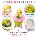 ���p �G���U�x�X�J���[ �\�t�g ���� �C���R �I�E�� �n�g �o�[�h�l�b�N�J���[ �H�������h�~ �����ݖh�~ �����ی� �p��P�A �t�F���g �y�� �z�� ���߉\ ���ݖh�~ �֘A�摜1