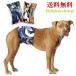  manner belt dog male gap not large dog medium sized dog small size dog diaper cover with pocket camouflage pattern wide width leak difficult ventilation man S-XL size nursing for 