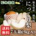  Tochigi префектура производство [ груша ....7 шар ввод ](2024 год 10 месяц 8 день ~11 месяц 22 день примерно отгрузка минут )[.. для прямая поставка от производителя бесплатная доставка ]