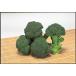  брокколи. рассада [...*... брокколи ]9cm pot [ распродажа период : осень период 9 месяц последняя декада ~10 месяц последняя декада ]
