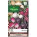 Vilmorin( Франция ) редис Radish Mix Colors. tane[ внутри емкость :4g]