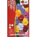 takii вид рассада viola Bb Mix. tane[ внутри емкость :0.2ml]