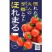  Watanabe сельское хозяйство . мини помидоры .... примерно 14 шарик [ отправка по почте соответствует ]