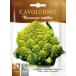 [HORTUS фирма ] цветная капуста *romanesko( желтый зеленый коралл ) Romanesco natalino 3g [0681][COD.BSOCVF014]