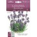 HORTUS фирма лаванда Lavandula spica ( внутри емкость :0.5g) [0165][COD.BGALAV001]